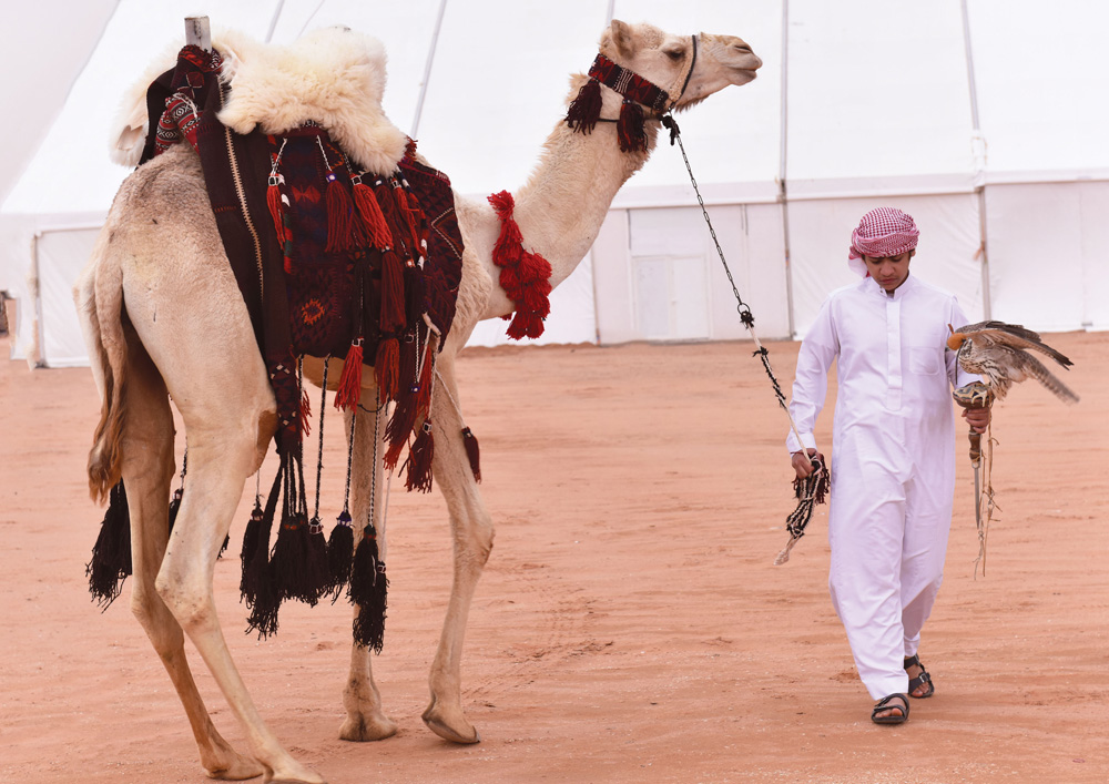 Saudi Arabia Hosts World’s Biggest Camel Festival | About Her