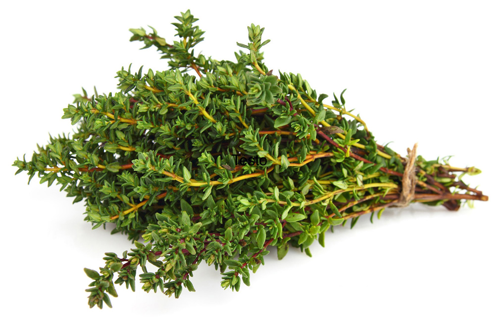 thyme meaning in bengali