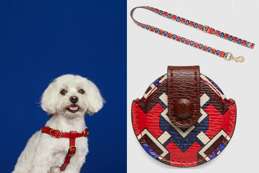 Gucci - The Gucci Pet Collection continues the narrative