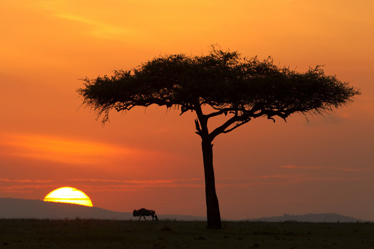 Mama Africa: Sunrise Silhouettes Never Looked So Stunning | About Her